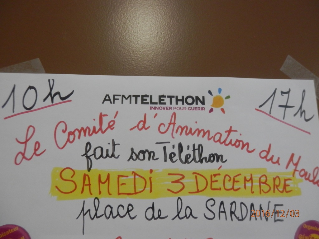 TELETHON 1 grande Copier